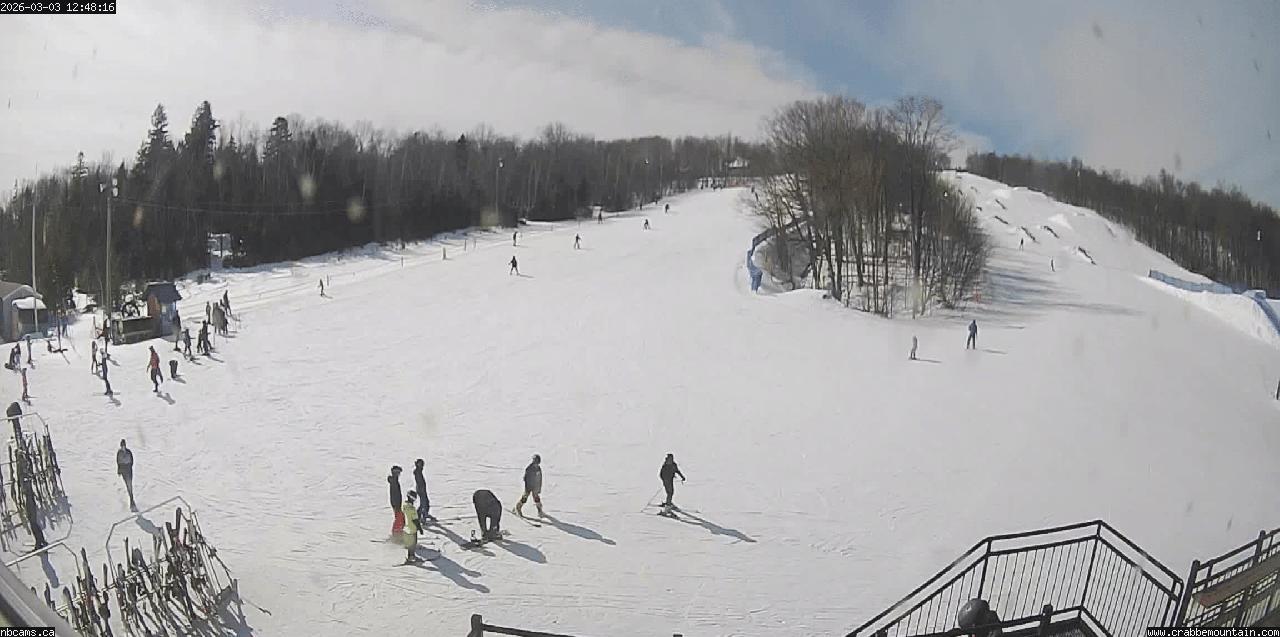 Crabbe Mountain Camera