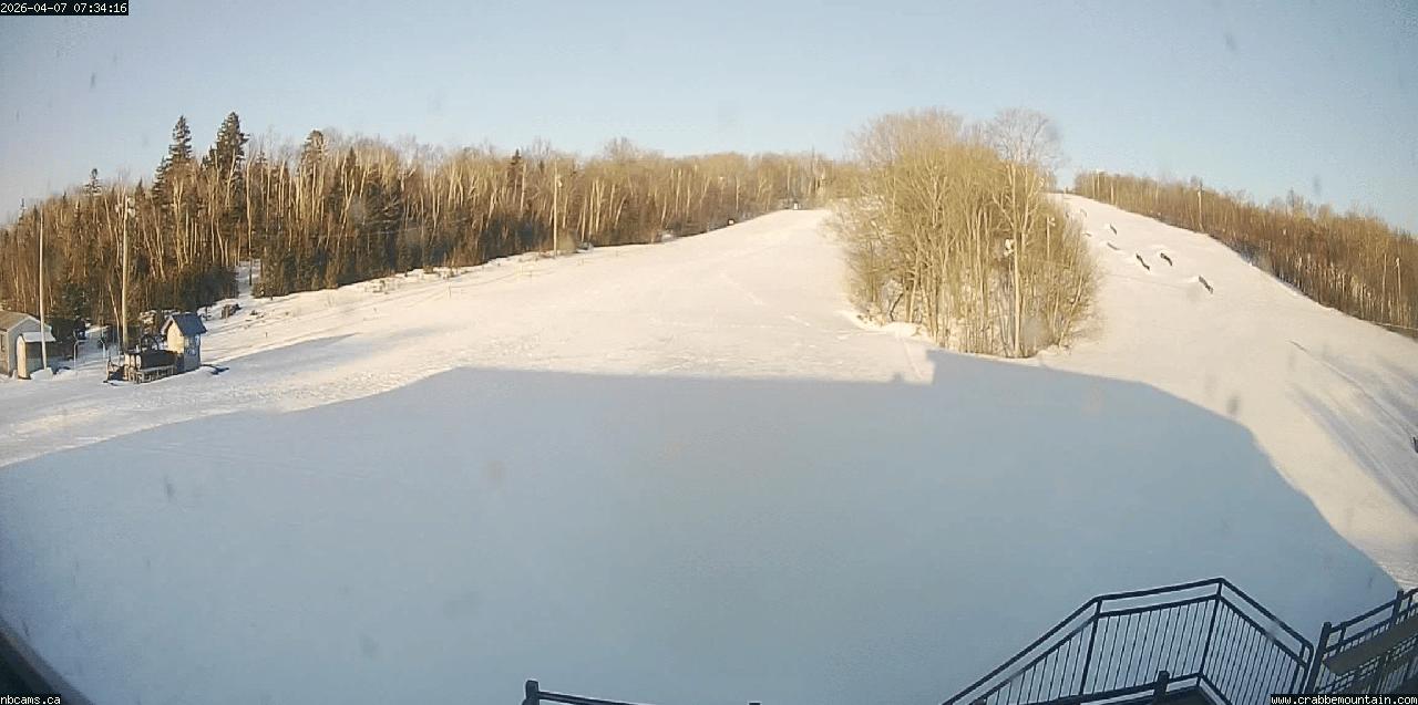 Crabbe Mountain Camera