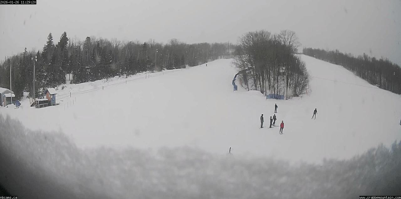 Web Cam image of Central Hainesville (Crabbe Mountain)