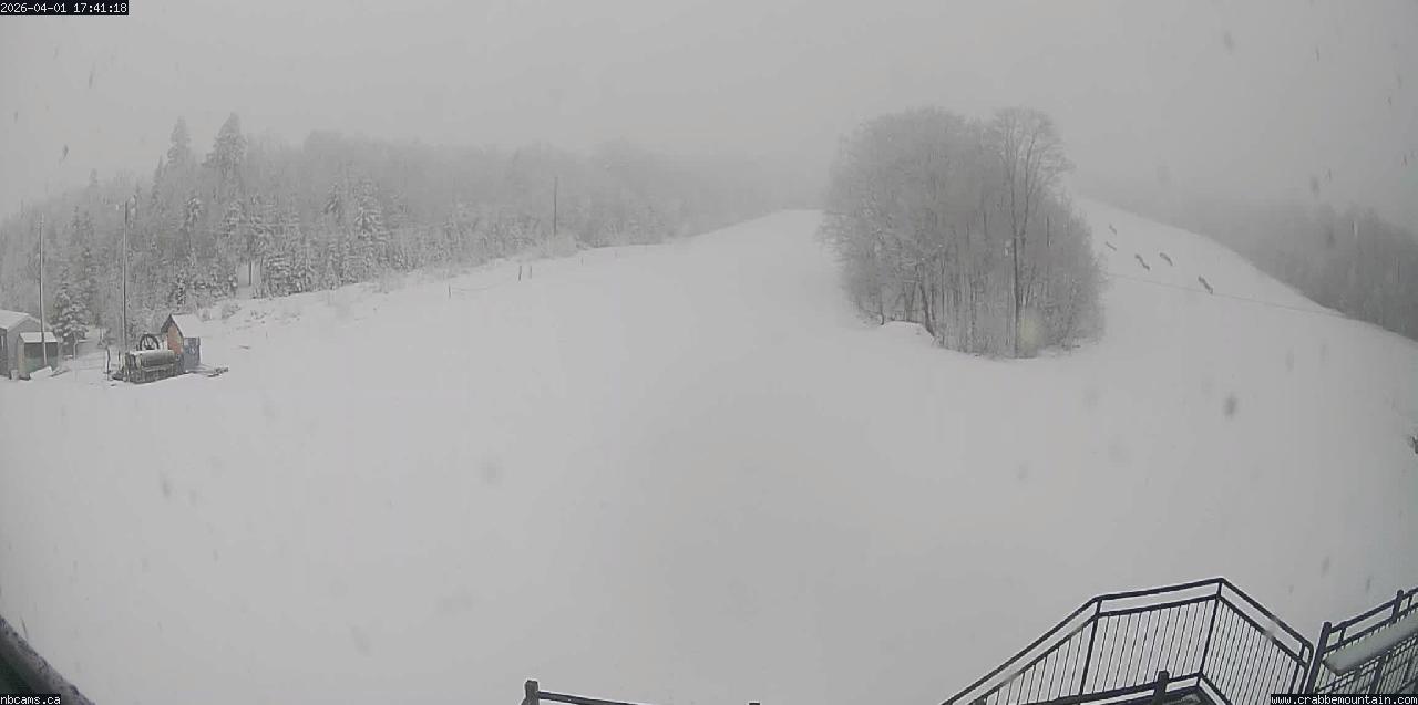 Web Cam image of Central Hainesville (Crabbe Mountain)